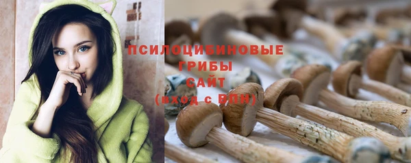 гидропоника Аркадак